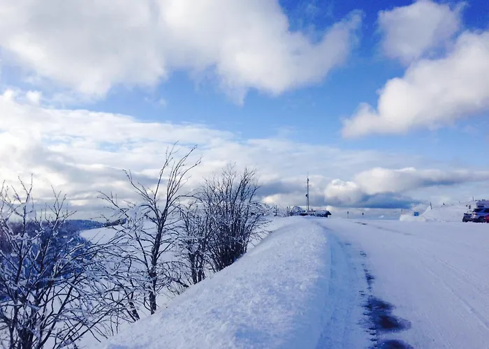 En Couleurs シャレー クソンリュプト・ロンジュメール
